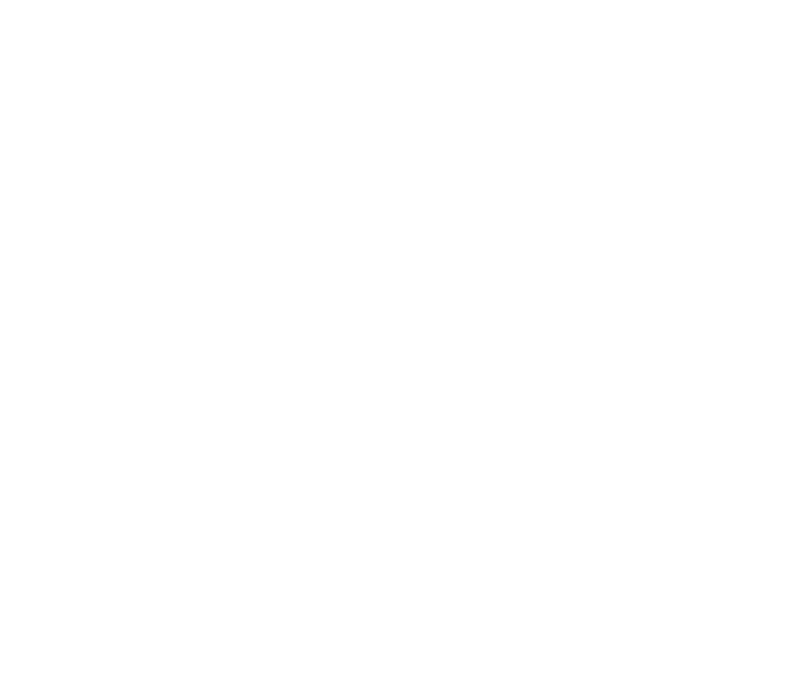 Aeromarus Logo